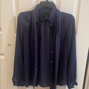 Lands' End Blue Blouse Classic Button-Up